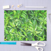 Lush Green Leaves Pattern – Natuur Botanisch Tissuepapier (Craft)