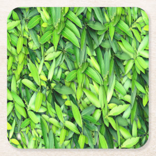 Lush Green Leaves Pattern – Natuur Botanisch Vierkante Kartonnen Onderzetter