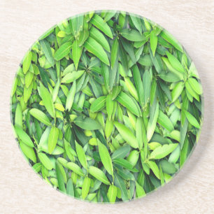 Lush Green Leaves Pattern – Natuur Botanisch Zandsteen Onderzetter