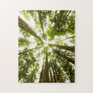 Lush Green Rain Forest Legpuzzel