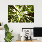 Lush Green Rain Forest Poster (Thuiskantoor)