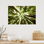 Lush Green Rain Forest Poster (Keuken)