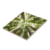 Lush Green Rain Forest Tegeltje (Zijkant)