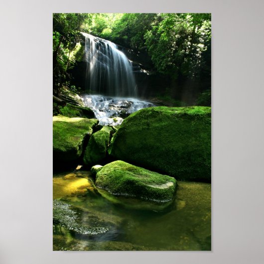 Lush Rain Forest Waterfall in Sunlight Poster (Voorkant)