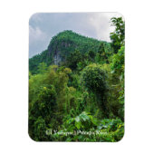 Lush regenwoud en el yunque piek magneet (Verticaal)