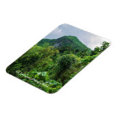 Lush regenwoud en el yunque piek magneet (Linkerzijde)