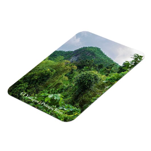 Lush regenwoud en el yunque piek magneet (Linkerzijde)