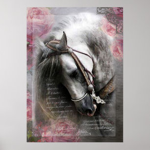 Lusitano Horse - Poster