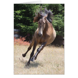 Lusitano-paard in vrijheid Lege kaart