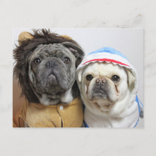 Lustige Mops Yoko und East Karte Briefkaart