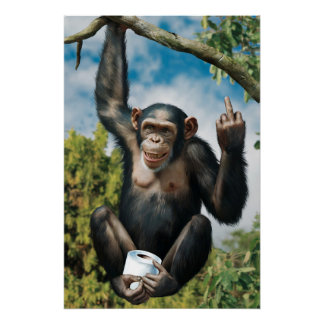 Lustiges WC Poster Perfect Poster