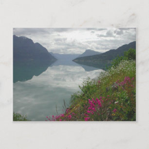 Lustrafjorden Panorama Briefkaart