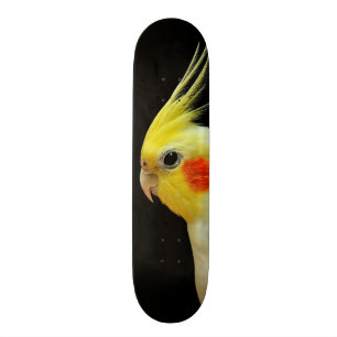 Lutino Cockatiel Skateboard