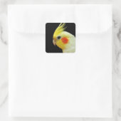 Lutino Cockatiel Vierkante Sticker (Tas)
