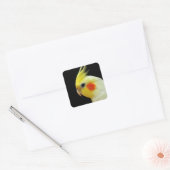 Lutino Cockatiel Vierkante Sticker (Envelop)