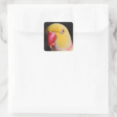 Lutino Indian Ringnek Parakeet Beak Vierkante Sticker (Tas)