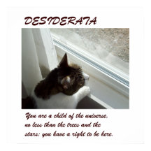 Luvlee's Window DESIDERATA-poster