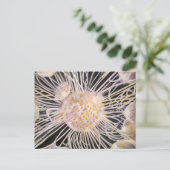 Lux ex Tenebris Briefkaart (Staand voorkant)