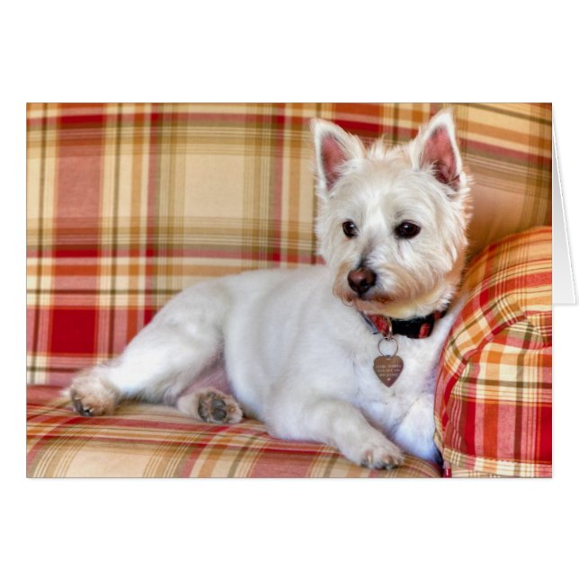 Luxe (Voorkant Horizontaal)