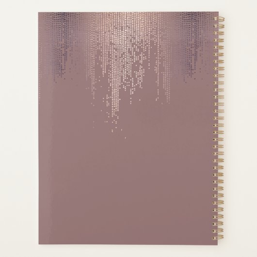 Luxe Rose Gold Confetti Rain carnet de rendez-vous (Dos)