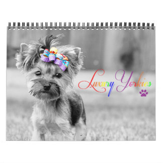 Luxury Yorkies 2014 Aangepast gedrukt kalender