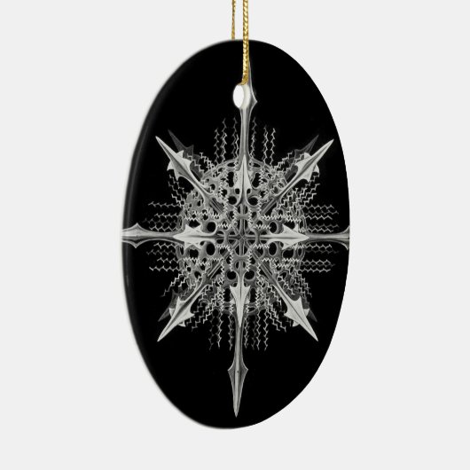 Lychnaspis miranda Ernst Haeckel Fine Art Keramisch Ornament (Rechts)