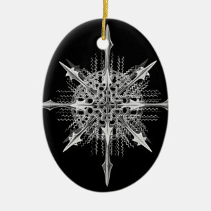 Lychnaspis miranda Ernst Haeckel Fine Art Keramisch Ornament