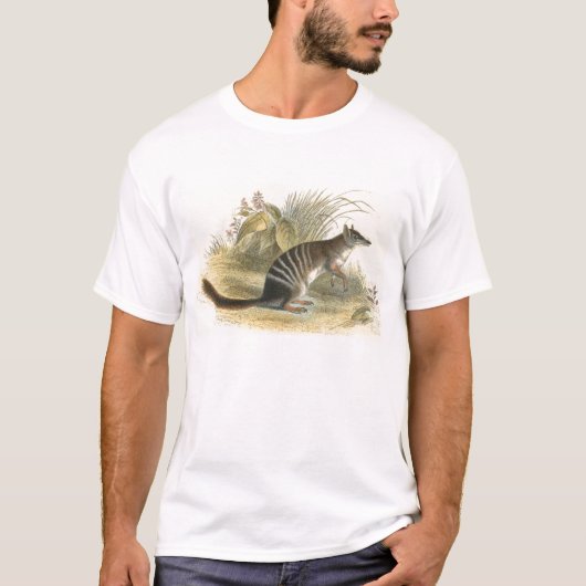 Lydekker - Bandant-Eater - Numbat T-shirt (Voorkant)