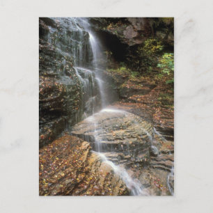 Lye Brook Herfsten Vermont Briefkaart