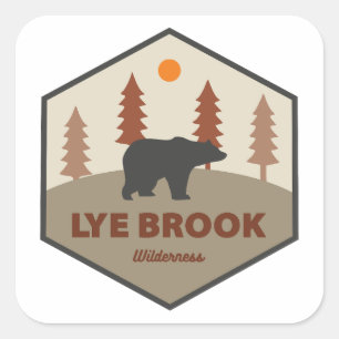 Lye Brook Wilderness Vermont Beer Vierkante Sticker