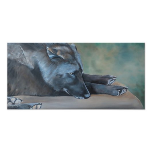 Lying Black Wolf Art Photo Print Foto Afdruk (Voorkant)