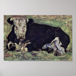 Lying Koe by Vincent Van Gogh Poster