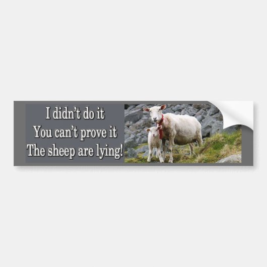 Lying Sheep Bumpersticker (Voorkant)