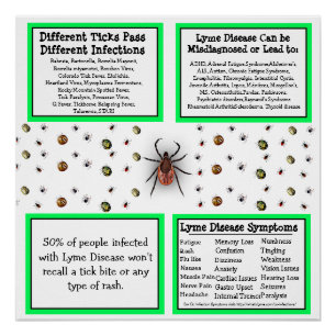 Lyme Disease Information Poster Perfect Poster