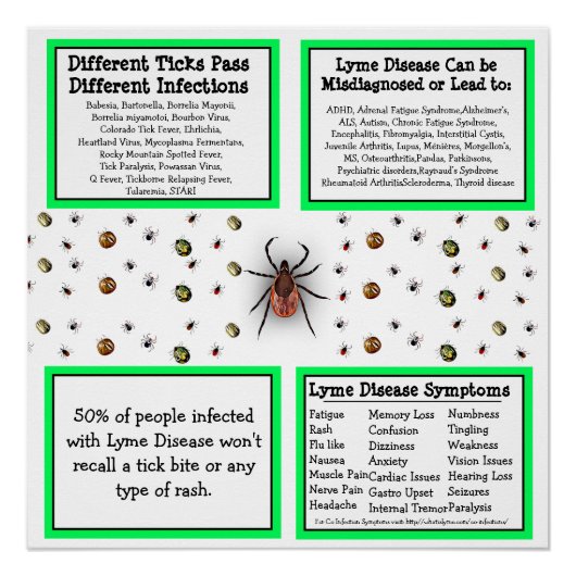 Lyme Disease Information Poster Perfect Poster (Voorkant)