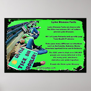 Lyme-ziekte feitenposter poster