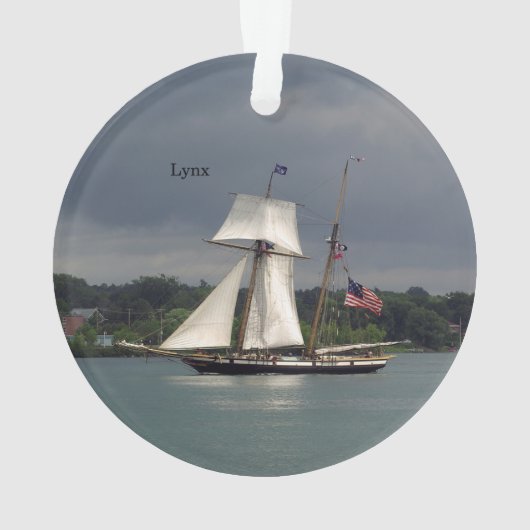 Lynx-acrylversiering Ornament (achterkant)