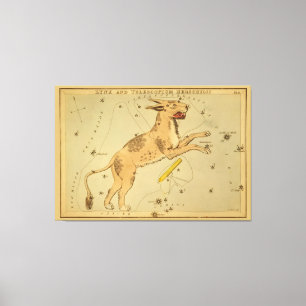 Lynx - Astronomisch Star Chart Afbeelding Canvas Afdruk