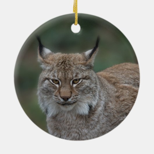 Lynx bekijkt u keramisch ornament (Achterkant)