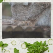 Lynx bekijkt u op uw laptop theedoek (Gevouwen)