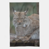 Lynx bekijkt u op uw laptop theedoek (Verticaal)