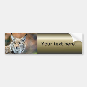 Lynx Bobcat Wilde Roofdier Kat Bumpersticker
