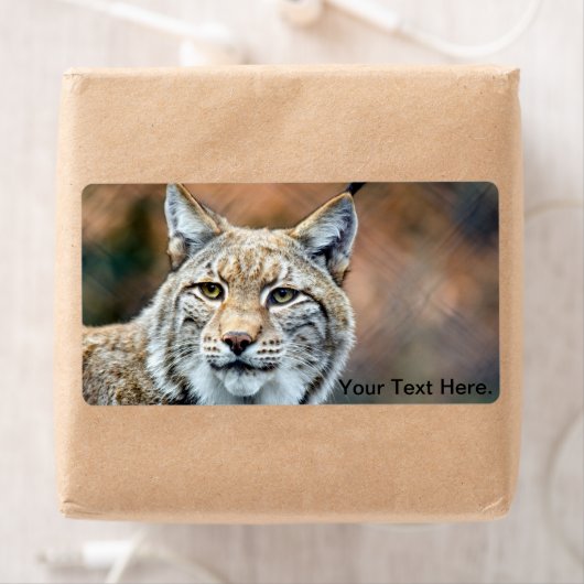 Lynx Bobcat Wildlife Predator Cat Etiket (Insitu)