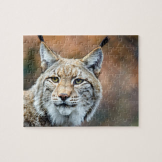 Lynx Bobcat Wildlife Predator Cat Legpuzzel
