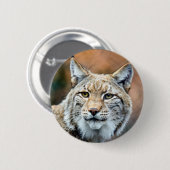 Lynx Bobcat Wildlife Predator Cat Ronde Button 5,7 Cm (Voorkant /achterkant)