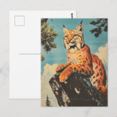 Lynx briefkaart (Voorkant / Achterkant)
