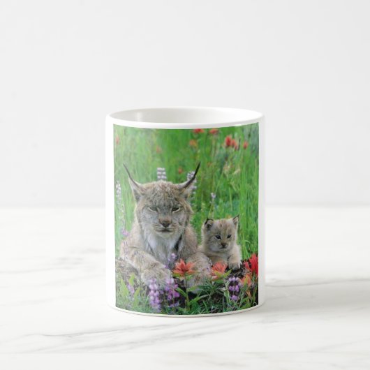 Lynx Cat & Kitten Cute Coffee Cup Koffiemok (Center)