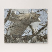 Lynx dans le Puzzle photo en hiver (Horizontal)