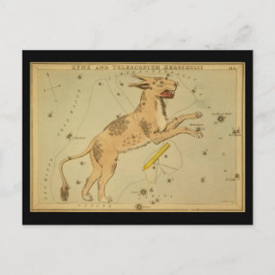 Lynx en Telescopium Herschilii Briefkaart