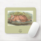 Lynx, Felis lynx Muismat (Met muis)